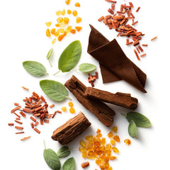 Men Grooming | Stetson Stetson Spirit Face X Beard Wash