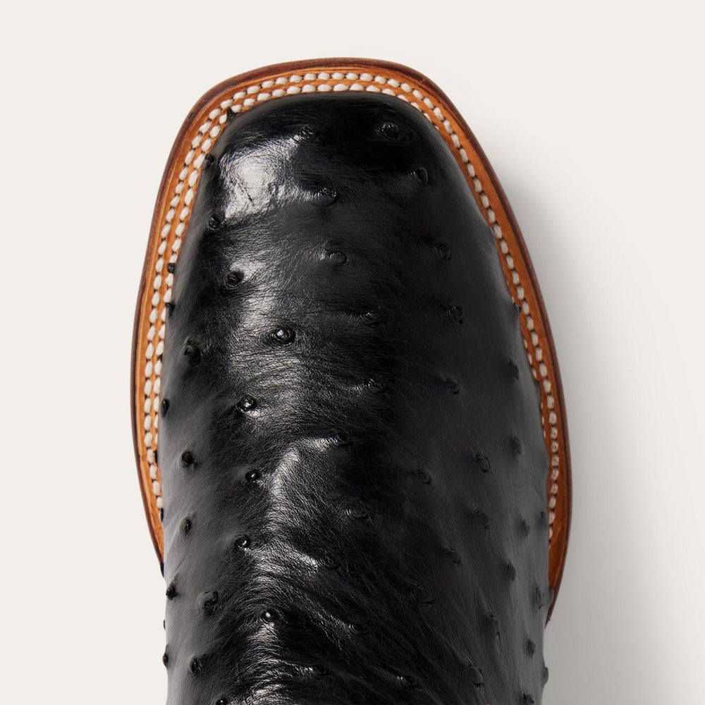 Men Western | Stetson Ozzy Ostrich Boot Black