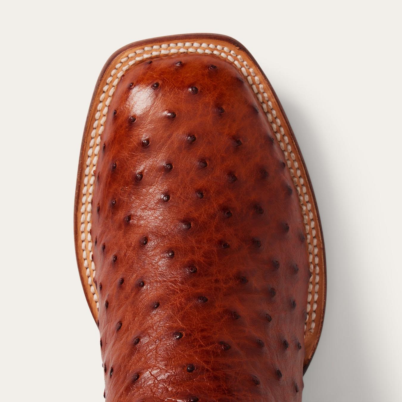 Men Western | Stetson Ozzy Ostrich Boot Brown