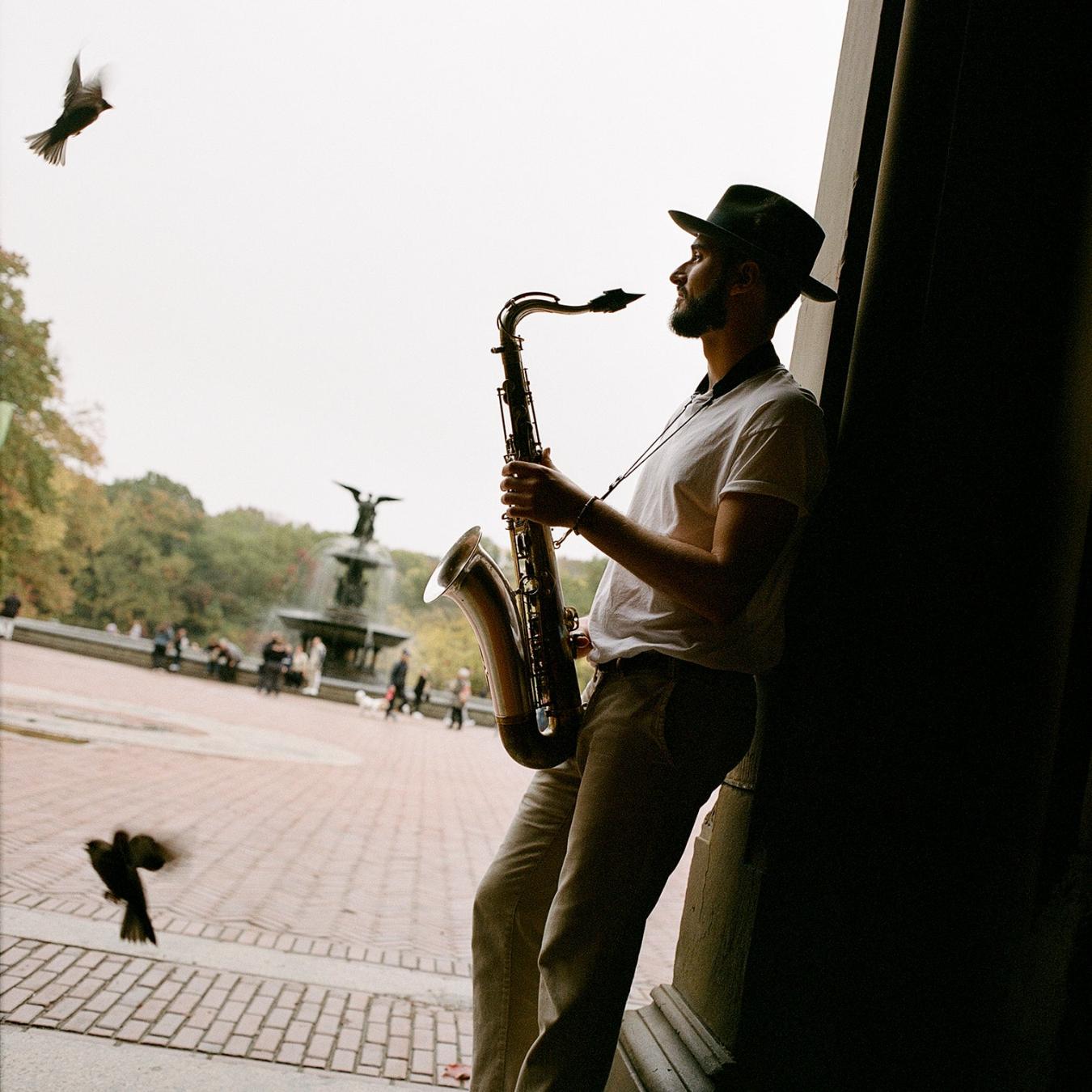 Men/Women Fedora | Stetson Temple Fedora Navy